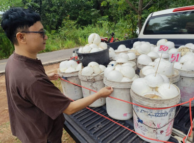 ติดตามการดำเนินธุรกิจรวบรวมยางพารากลุ่มเกษตรกรทำสวนยางตำบลไร่สีสุก ... พารามิเตอร์รูปภาพ 3